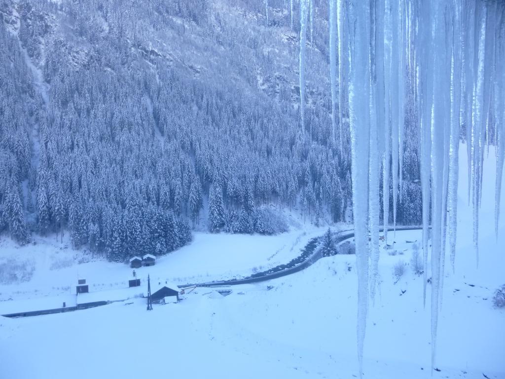 Haus Wildbach Daire Kappl  Dış mekan fotoğraf